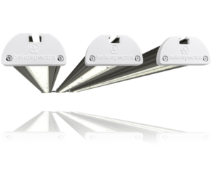 LED Grow Light_heliospectra-SIERA