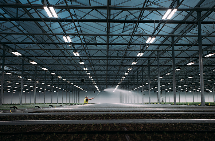 LED grow lights_commericial greenhouse_MITRA Helispectra_web